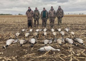 Canada goose hunting season new york shop