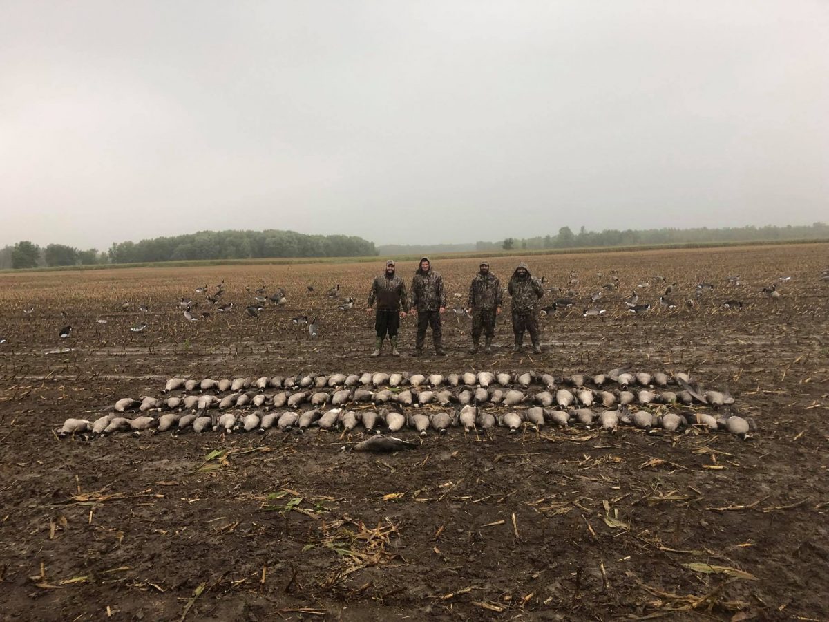 Fall Guided Canada Goose & Duck Hunts in NY & VT in the Atlantic Flyway