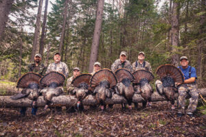 Spring Turkey hunting in the Northeast
