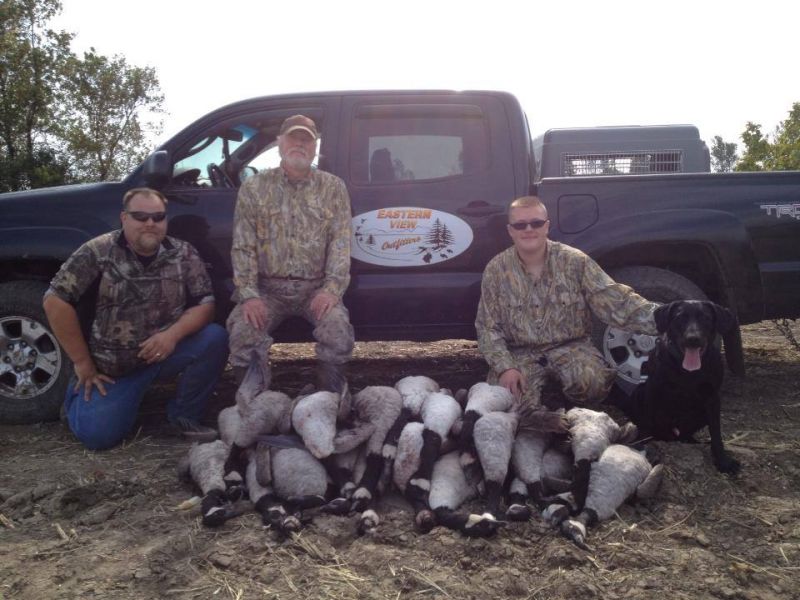 goose-hunting-ny-eastern-view-outfitters_6