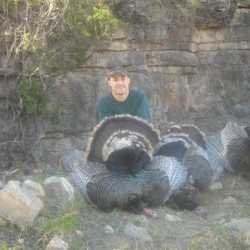 turkey-hunting-merriams-new-mexico-eastern-view-outfitters