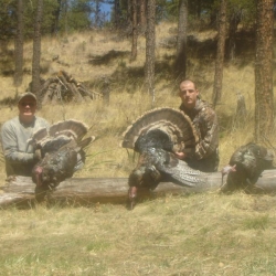 turkey-hunting-new-mexico-eastern-view-outfitters