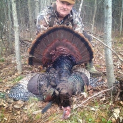turkey-hunting-ny-eastern-view-outfitters_19