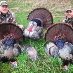 turkey-hunting-ny-eastern-view-outfitters_22