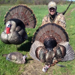 turkey-hunting-ny-eastern-view-outfitters_25