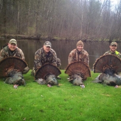 turkey-hunting-ny-eastern-view-outfitters_26