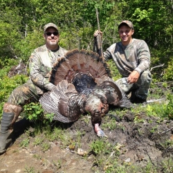 turkey-hunting-ny-eastern-view-outfitters_29