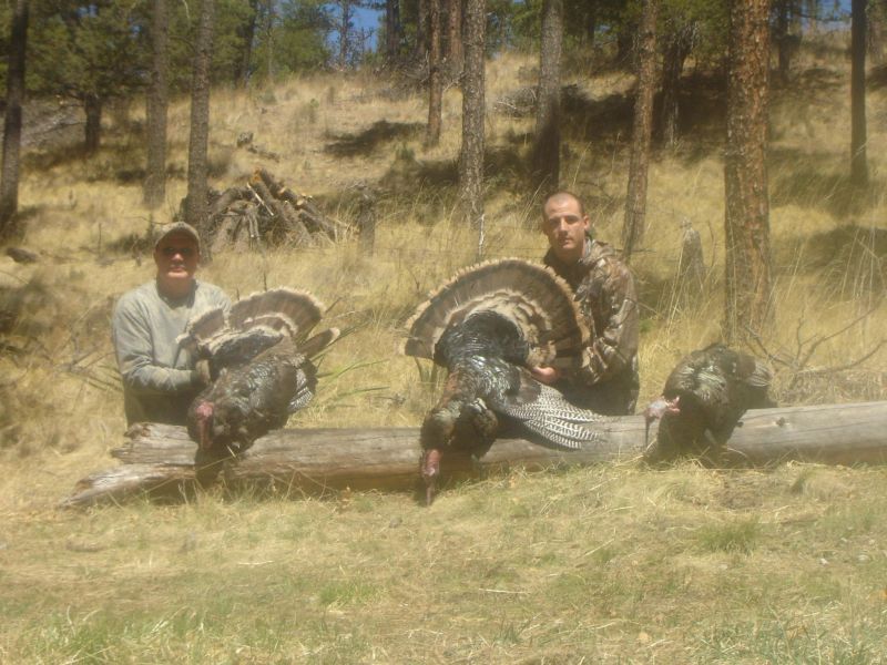 turkey-hunting-new-mexico-eastern-view-outfitters