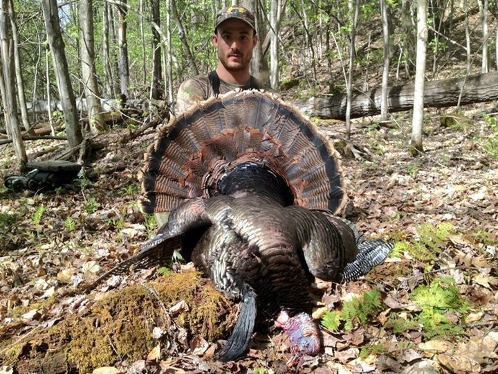 turkey-hunting-ny-eastern-view-outfitters_11
