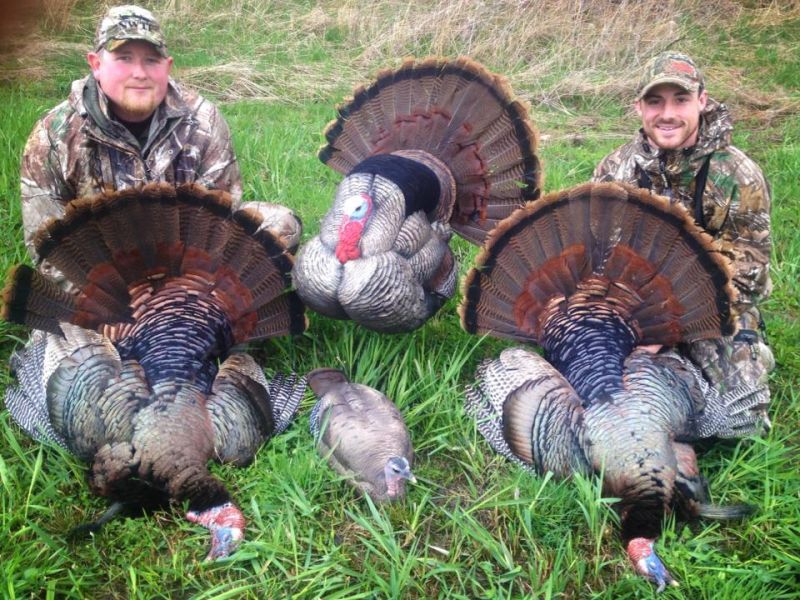 turkey-hunting-ny-eastern-view-outfitters_22