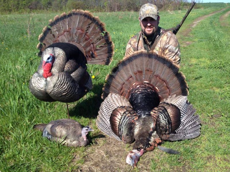turkey-hunting-ny-eastern-view-outfitters_25