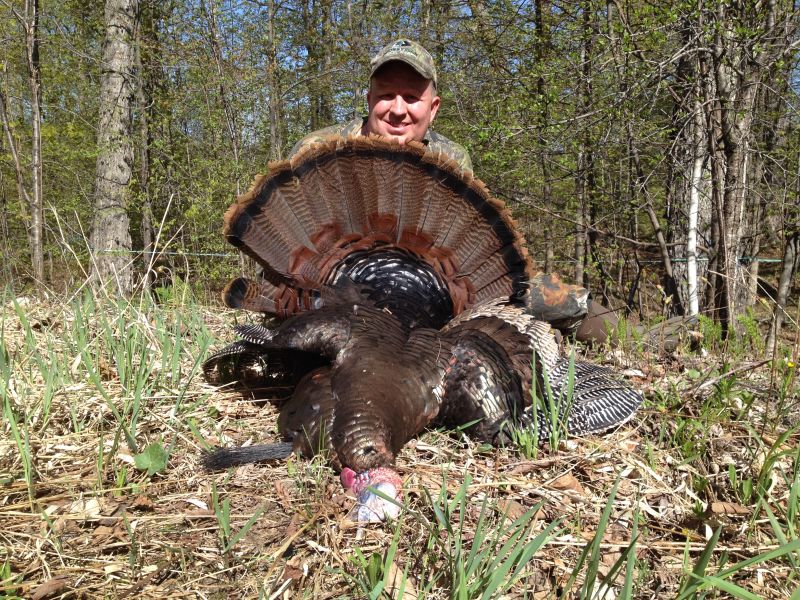 turkey-hunting-vt-eastern-view-outfitters